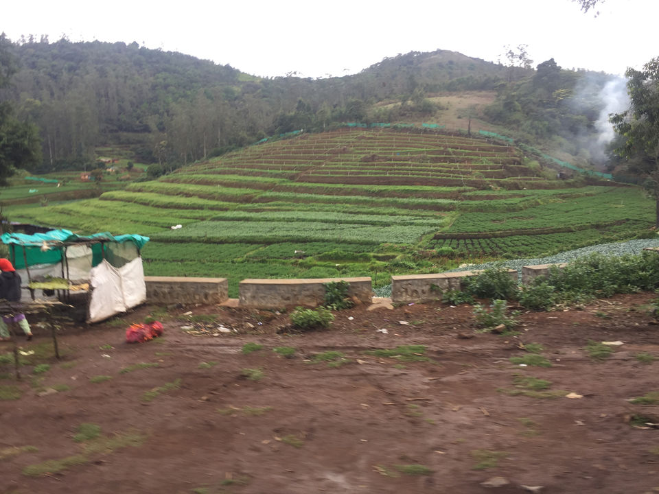 Photo of South India’s Travel Destination OOTY by Shiva Kumar Bashetti