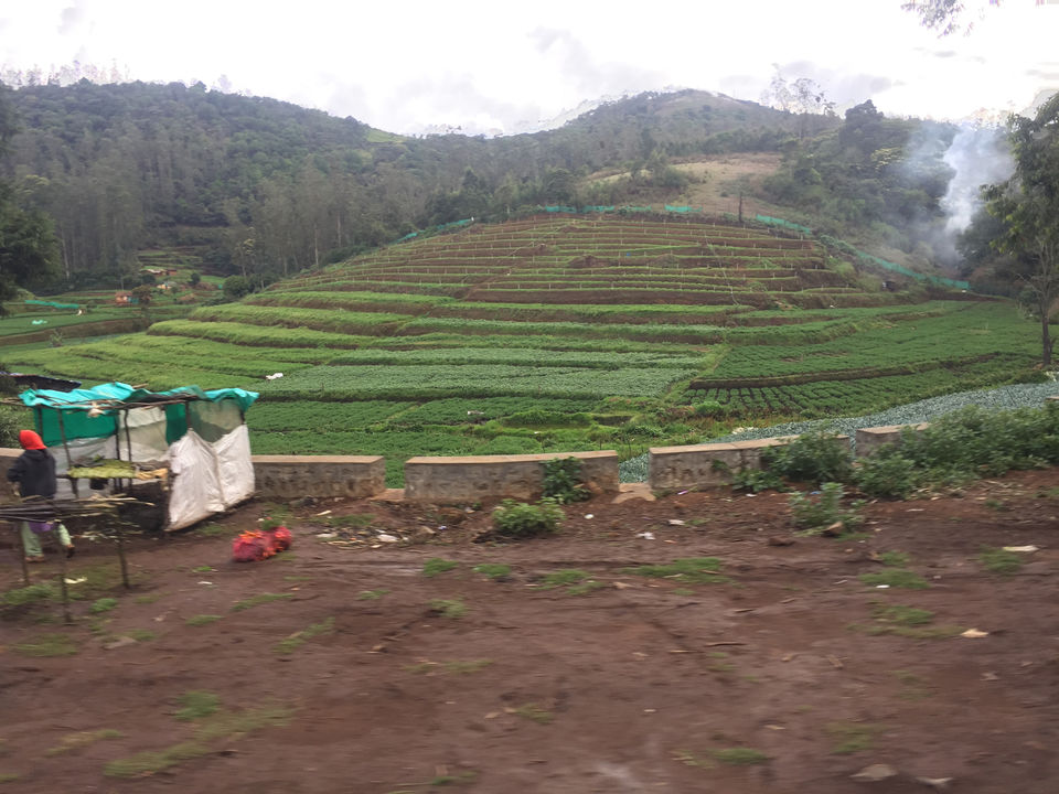 Photo of South India’s Travel Destination OOTY by Shiva Kumar Bashetti
