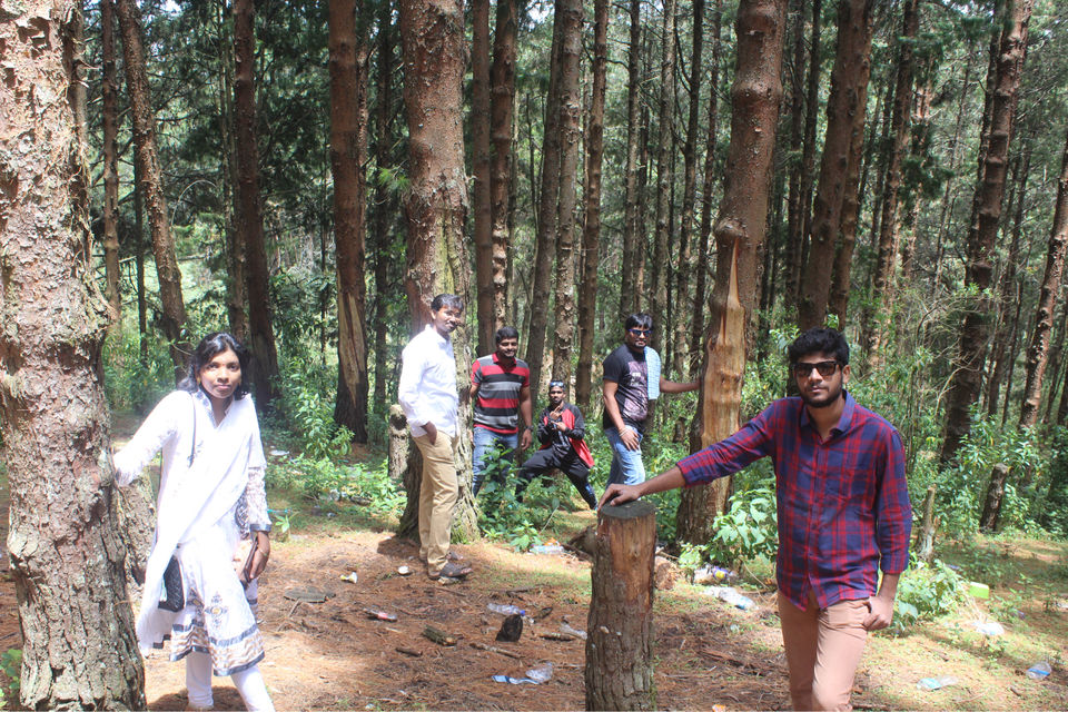 Photo of South India’s Travel Destination OOTY by Shiva Kumar Bashetti