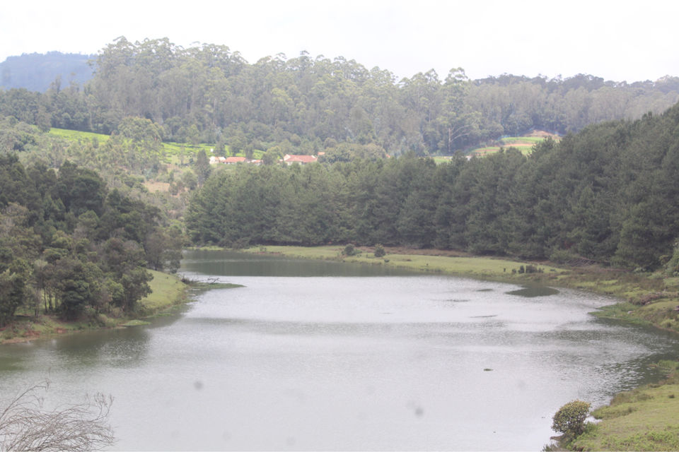 Photo of South India’s Travel Destination OOTY by Shiva Kumar Bashetti