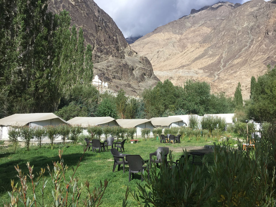 Photo of Nubra Valley by Shiva Kumar Bashetti
