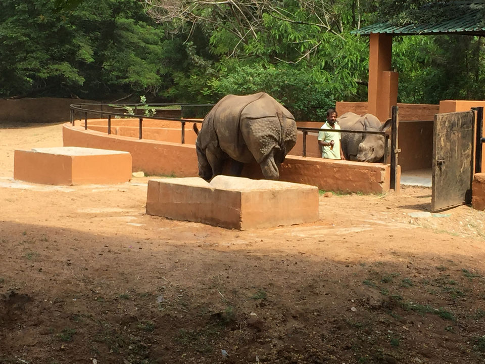 Photo of Mysore Zoo, Indira Nagar, Ittige Gudu, Mysuru, Karnataka by Shiva Kumar Bashetti