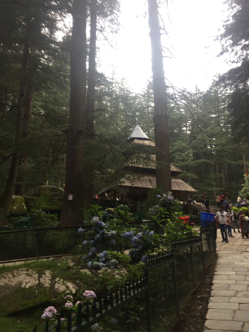 Photo of Manali, Himachal Pradesh, India by Shiva Kumar Bashetti