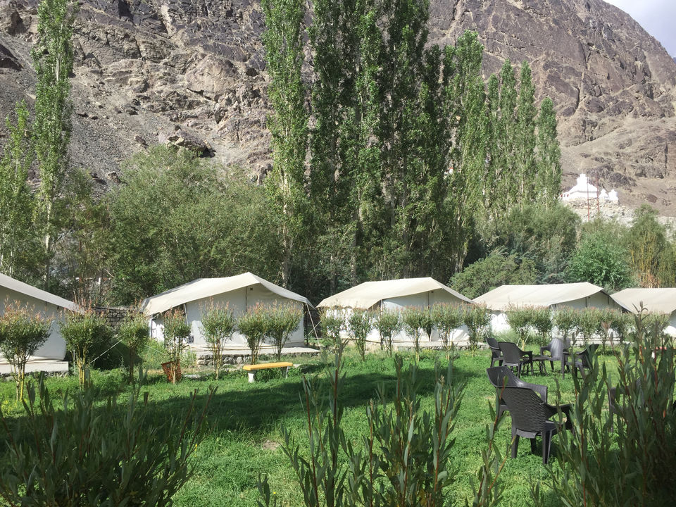 Photo of My Stay At Nubra Valley by Shiva Kumar Bashetti