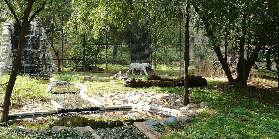 Photo of Mysore Zoo by Shiva Kumar Bashetti