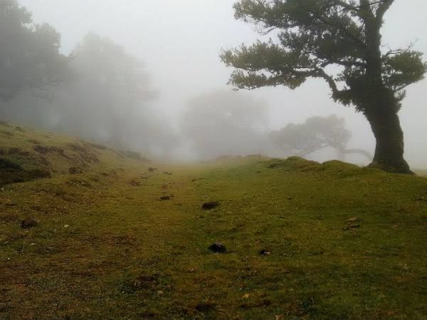 Photo of Araku valley.... india's own scotland... by Shiva Kumar Bashetti