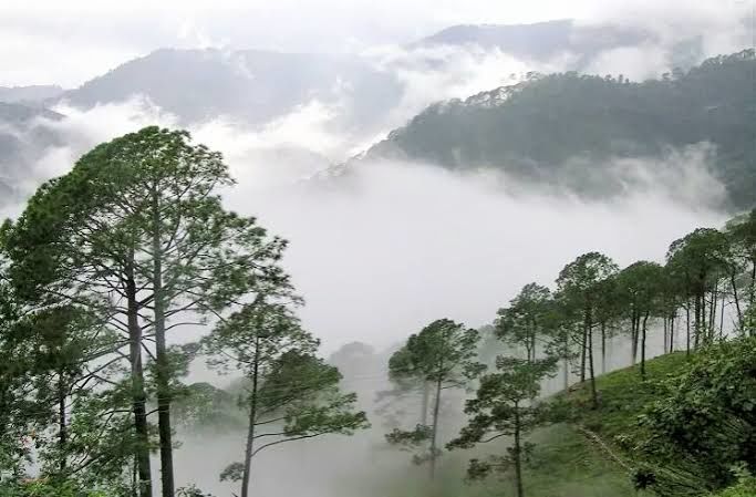 Photo of Araku valley.... india's own scotland... by Shiva Kumar Bashetti