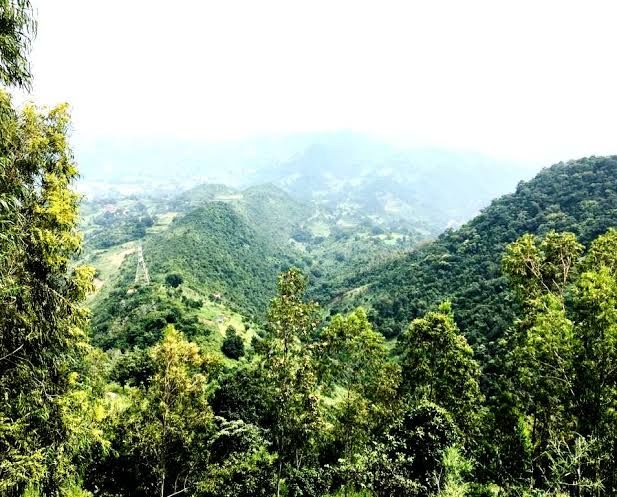 Photo of Araku valley.... india's own scotland... by Shiva Kumar Bashetti
