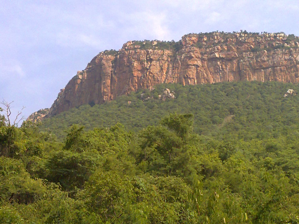 Photo of Tirupati, Andhra Pradesh, India by Shiva Kumar Bashetti