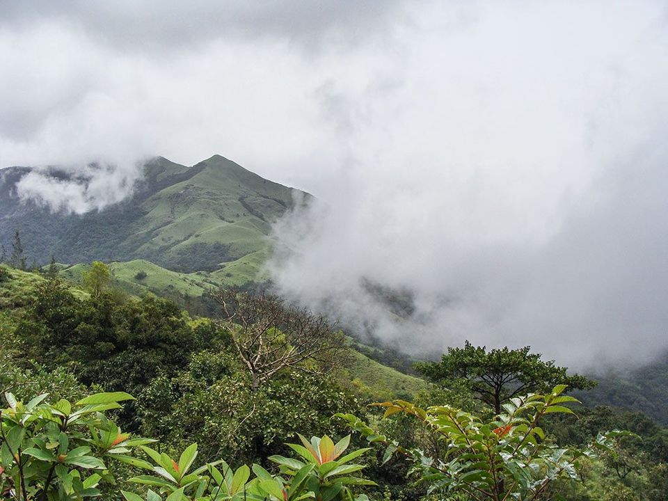 Photo of Coorg, Karnataka, India by Shiva Kumar Bashetti