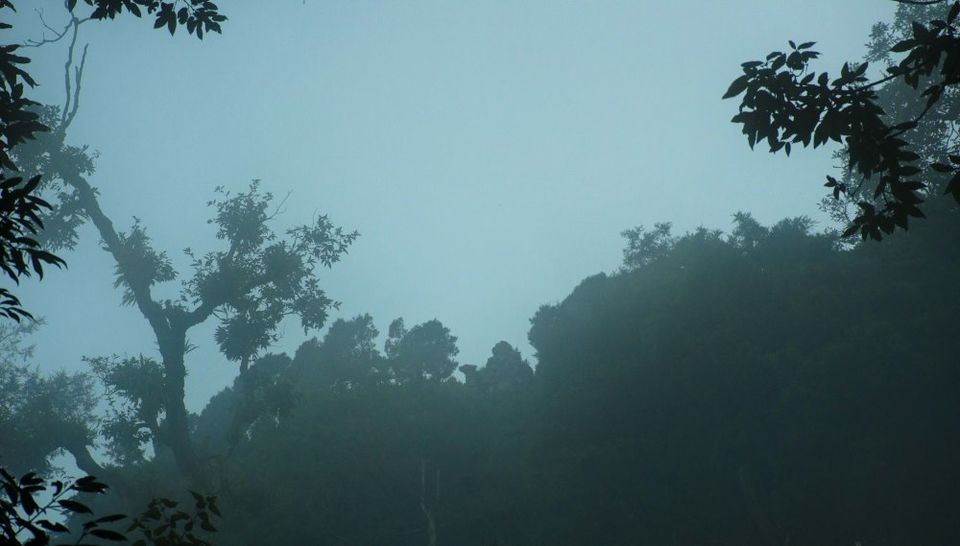Photo of Mussoorie in the Sky by Shiva Kumar Bashetti