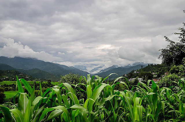 Photo of Karsog, Himachal Pradesh, India by Shiva Kumar Bashetti