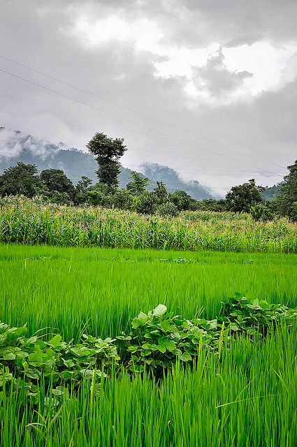 Photo of Hidden gems of Himachal chapter 1 : Karsog valley by Shiva Kumar Bashetti