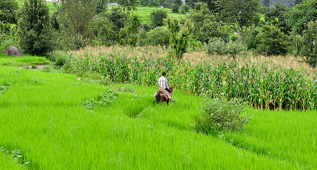 Photo of Hidden gems of Himachal chapter 1 : Karsog valley by Shiva Kumar Bashetti