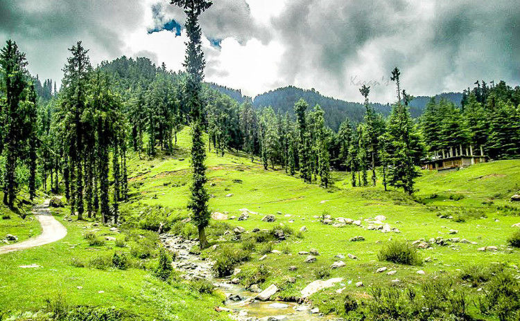 Photo of Hidden gems of Himachal chapter 3 : Janjheli by Shiva Kumar Bashetti