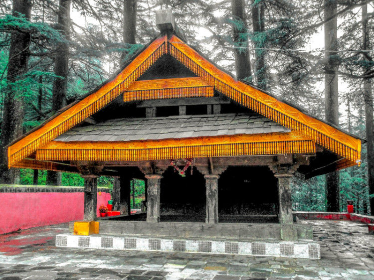 Photo of Hidden gems of Himachal chapter 3 : Janjheli by Shiva Kumar Bashetti
