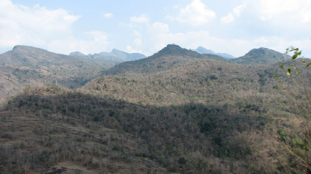 Photo of Munnar - Queen of hill station of south india... 2/10 by Shiva Kumar Bashetti