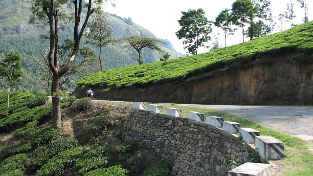 Photo of Munnar - Queen of hill station of south india... 3/10 by Shiva Kumar Bashetti