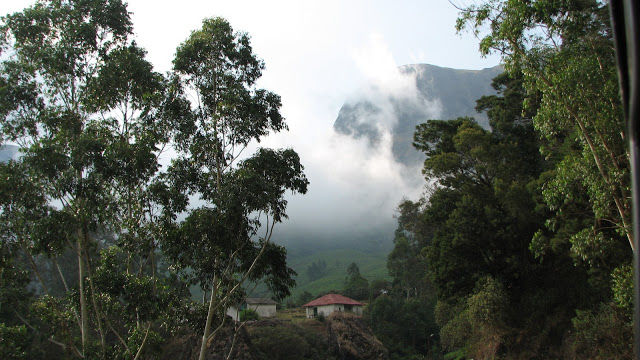Photo of Munnar - Queen of hill station of south india... 5/10 by Shiva Kumar Bashetti