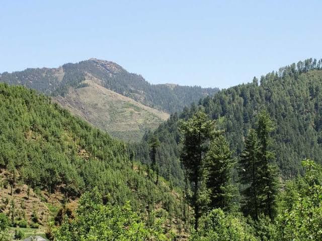 Photo of Janjehli, Himachal Pradesh, India by Shiva Kumar Bashetti
