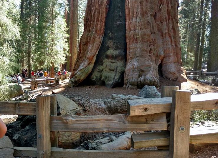 Photo of Sequoia National Forest, Tulare County, CA, United States by Kim Miller
