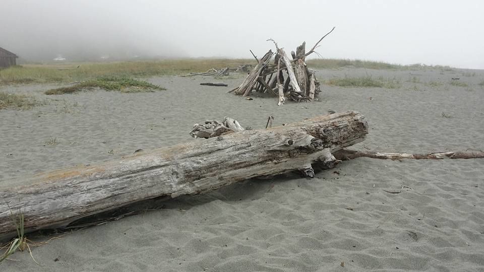 Photo of Redwood National Park - Kuechel Visitor Center by Kim Miller