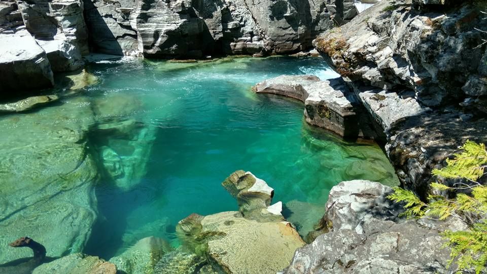 Photo of Glacier National Park, MT, United States by Kim Miller