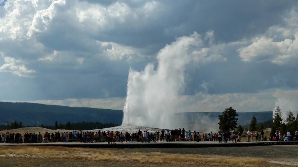 Photo of Yellowstone National Park, WY, United States by Kim Miller