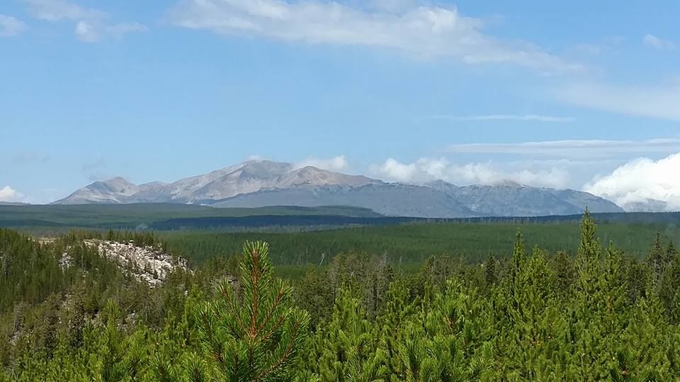 Photo of Yellowstone National Park, WY, United States by Kim Miller