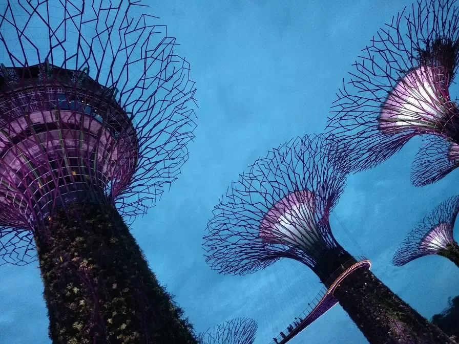 Photo of Marina Gardens Drive, Gardens by the Bay, Singapore by Mslittleelf