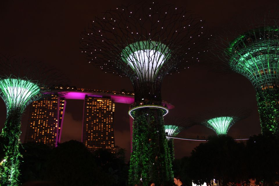 Photo of Marina Gardens Drive, Gardens by the Bay, Singapore by Mslittleelf