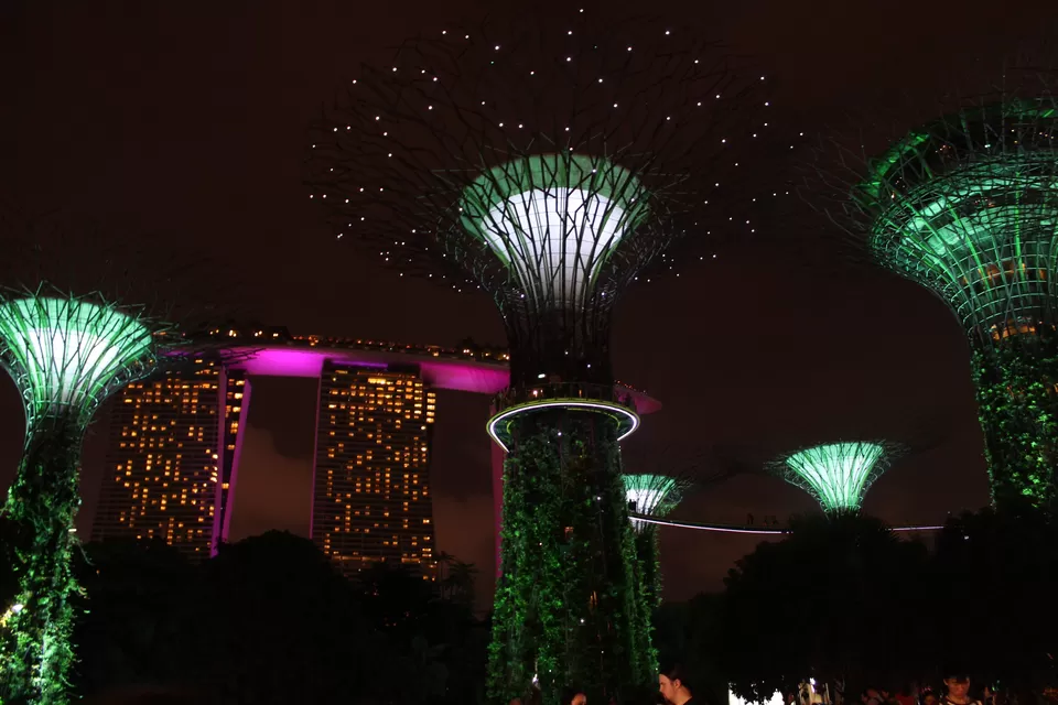 Photo of Marina Gardens Drive, Gardens by the Bay, Singapore by Mslittleelf