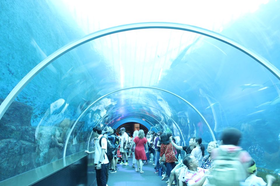 Photo of Sentosa, Singapore by Mslittleelf