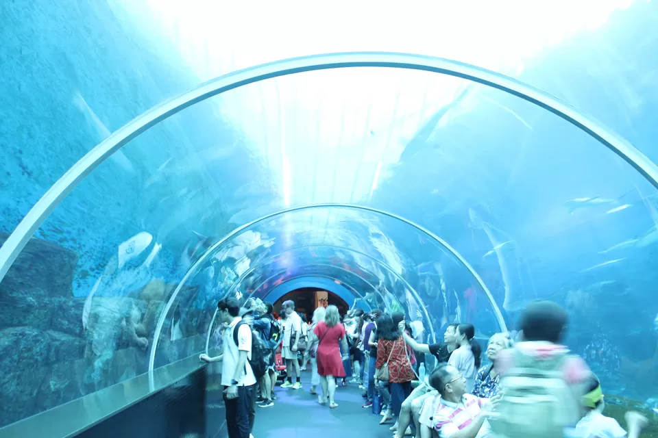 Photo of Sentosa, Singapore by Mslittleelf