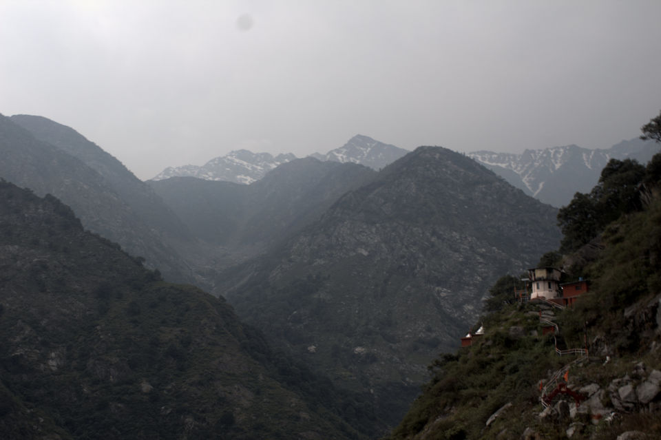 Photo of The summer of 2017 in Palampur, Himachal Pradesh by Soniya Kanchan