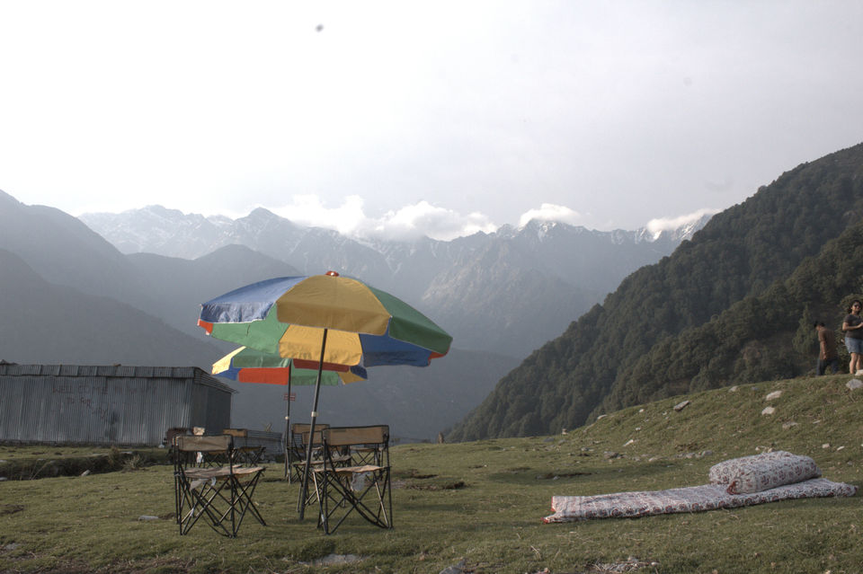 Photo of The summer of 2017 in Palampur, Himachal Pradesh by Soniya Kanchan