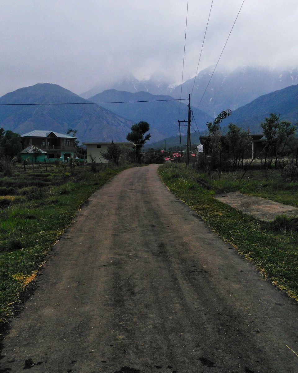 Photo of The summer of 2017 in Palampur, Himachal Pradesh by Soniya Kanchan
