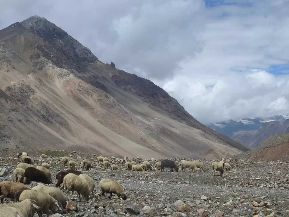 Photo of Rohtang Pass, Himachal Pradesh, India by Soniya Kanchan