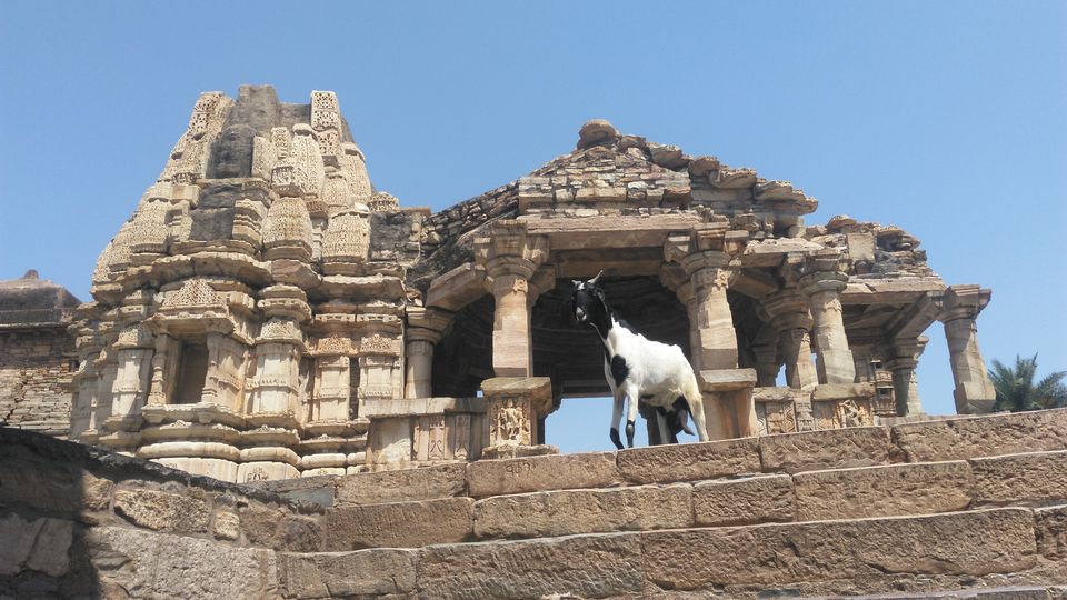 Photo of A city defined by its history- Chittorgarh by Soniya Kanchan