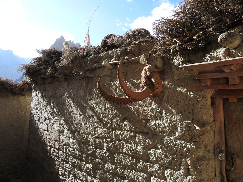 Photo of Ladakh Vacation, Leh by Soniya Kanchan