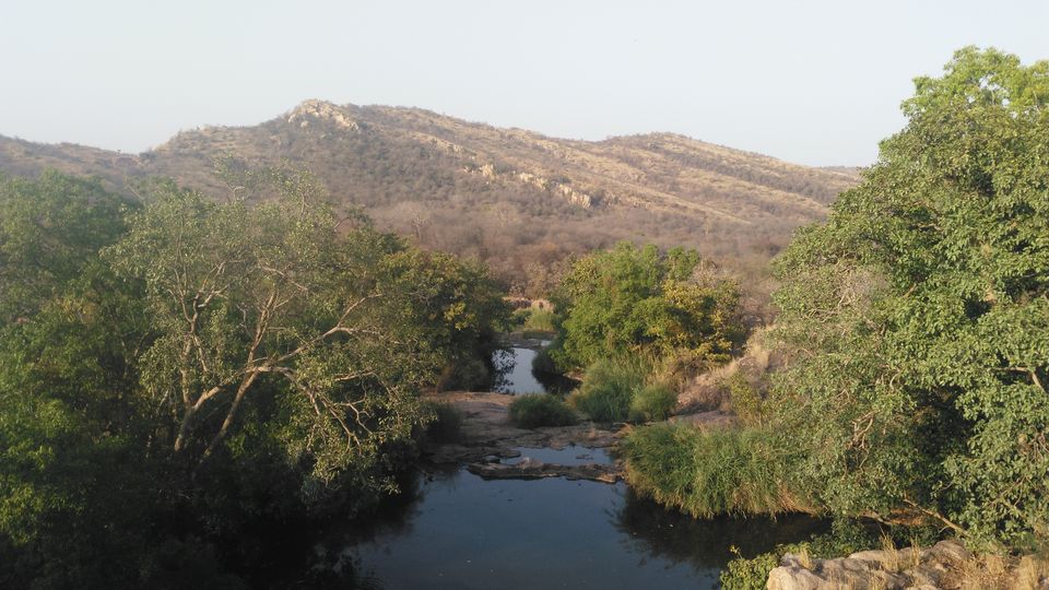 Photo of Adventures to find the Wildcat aka Tiger in Ranthambore, Rajasthan 4/16 by Soniya Kanchan