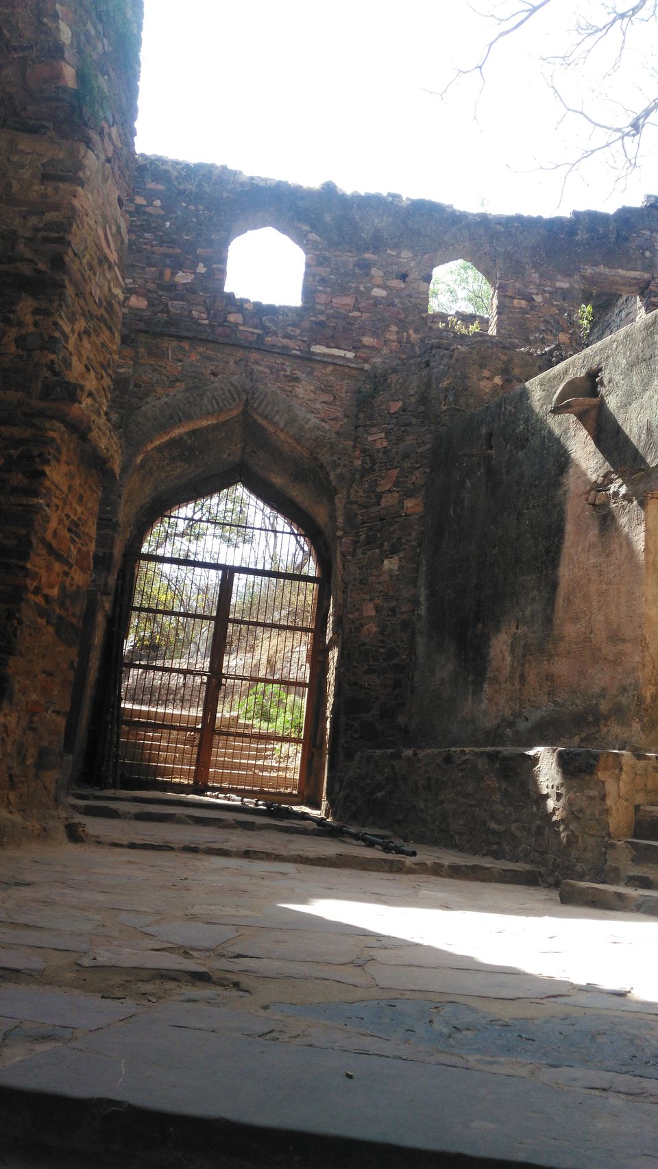 Photo of Adventures to find the Wildcat aka Tiger in Ranthambore, Rajasthan 5/16 by Soniya Kanchan