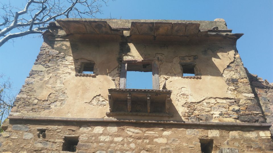 Photo of Adventures to find the Wildcat aka Tiger in Ranthambore, Rajasthan 7/16 by Soniya Kanchan