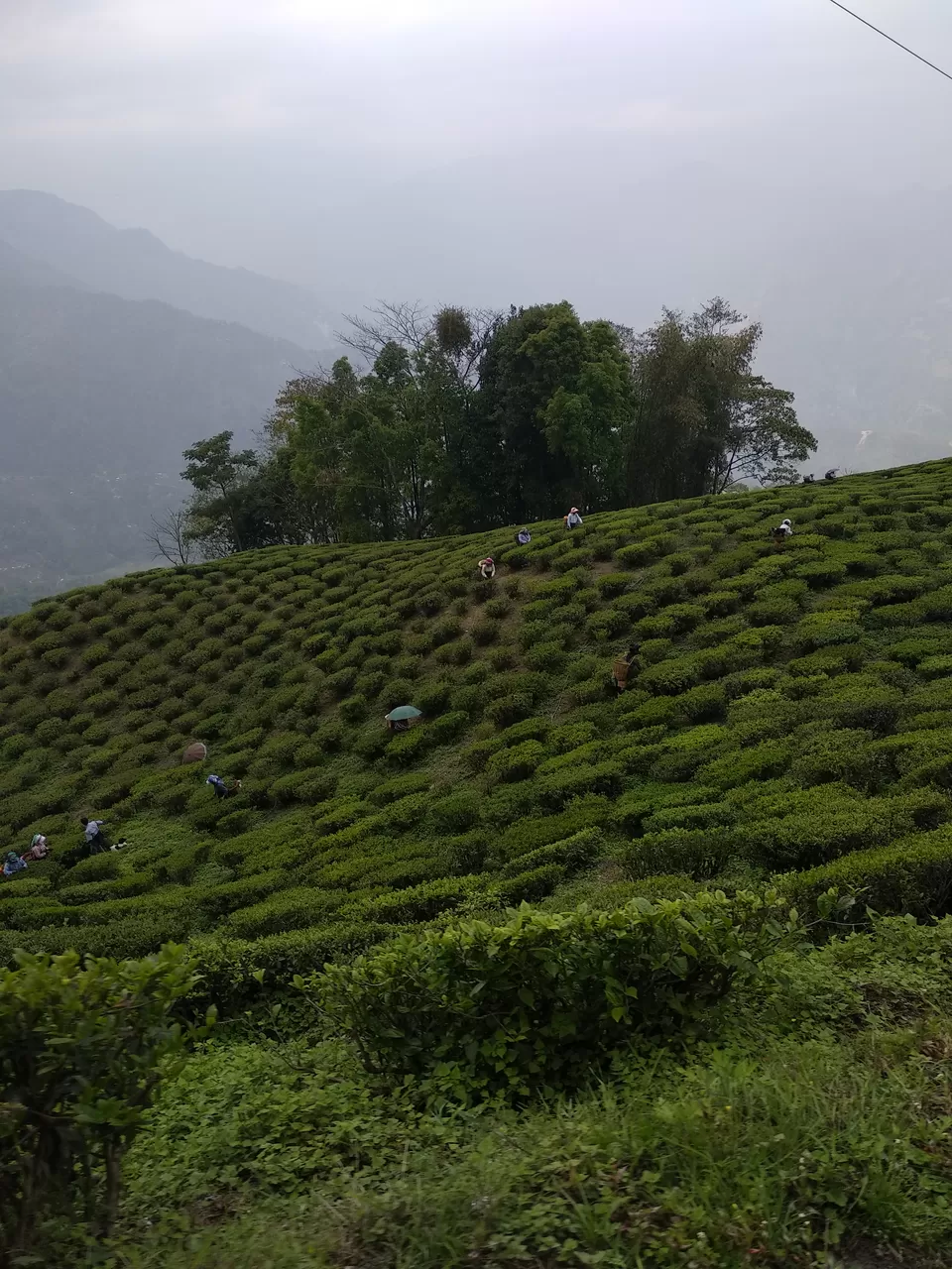 Photo of Darjeeling, West Bengal, India by Soniya Kanchan