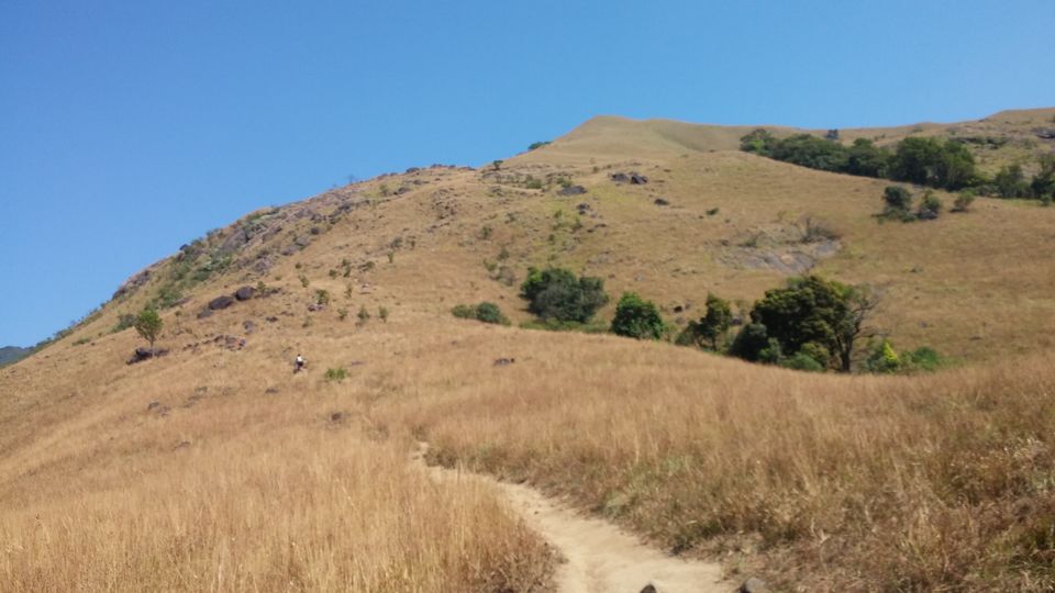 Photo of When a Rogue elephant invaded our first ever camping on mountains #lifechangingtrip by Sinan Muhiuddeen