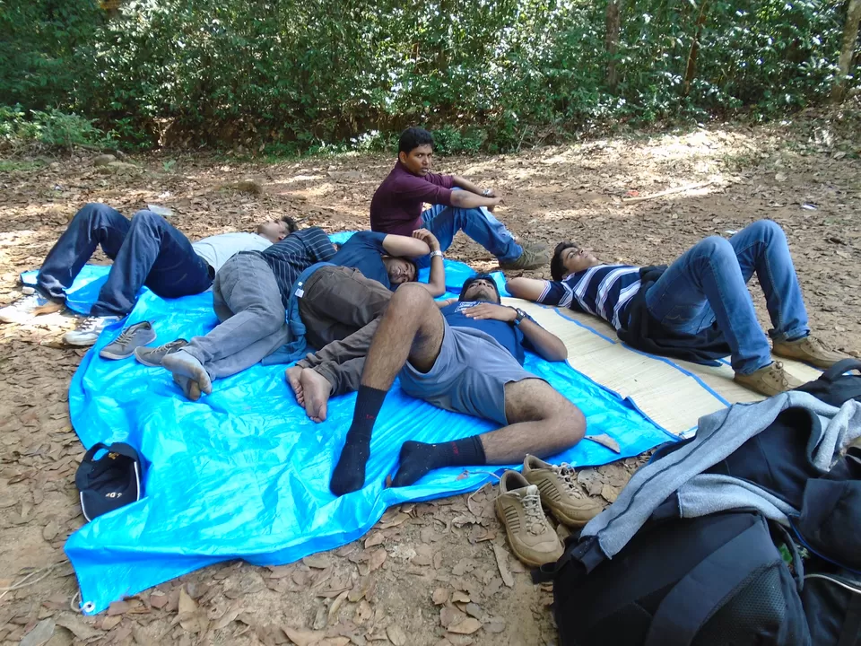 Photo of When a Rogue elephant invaded our first ever camping on mountains #lifechangingtrip by Sinan Muhiuddeen