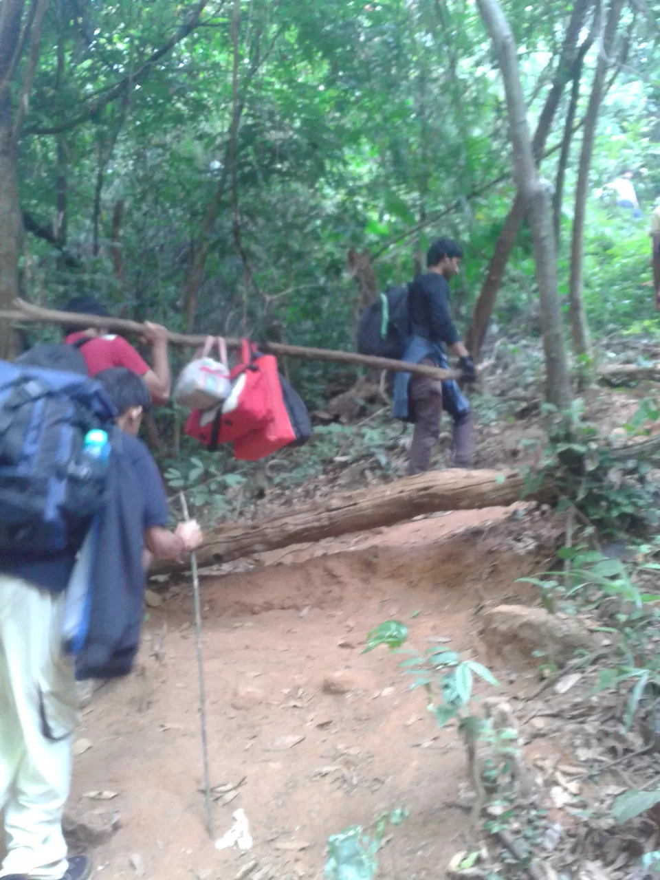 Photo of When a Rogue elephant invaded our first ever camping on mountains #lifechangingtrip by Sinan Muhiuddeen