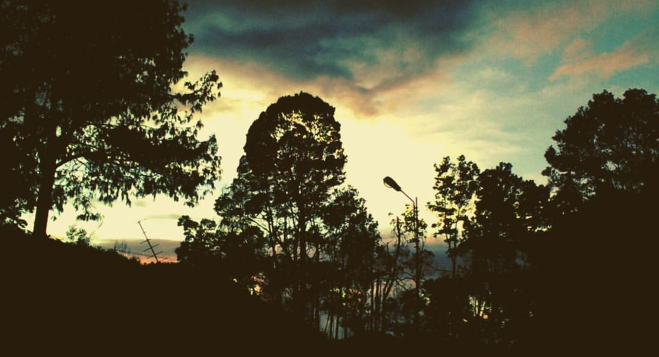 Photo of Ooty, Tamil Nadu, India by Yashasvi Shaktawat