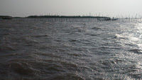 Photo of The adventure of deep blue Sea by Manisha