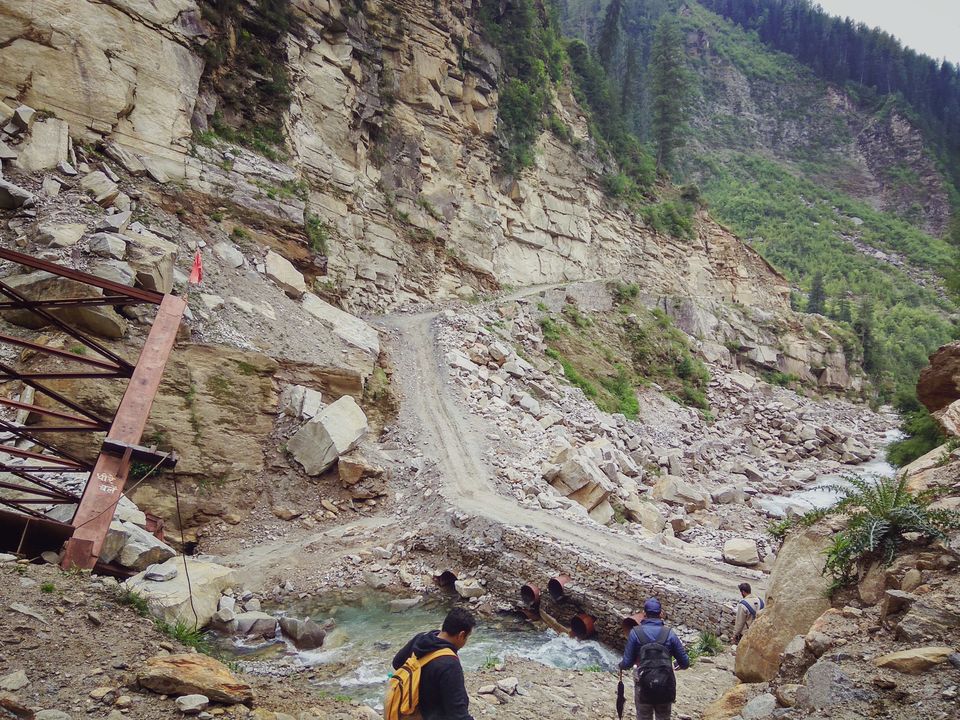 Photo of Janglik, Himachal Pradesh, India by shikhar